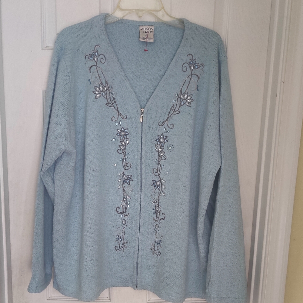 Allison Daley Light Blue Embroidered Women's Sweater